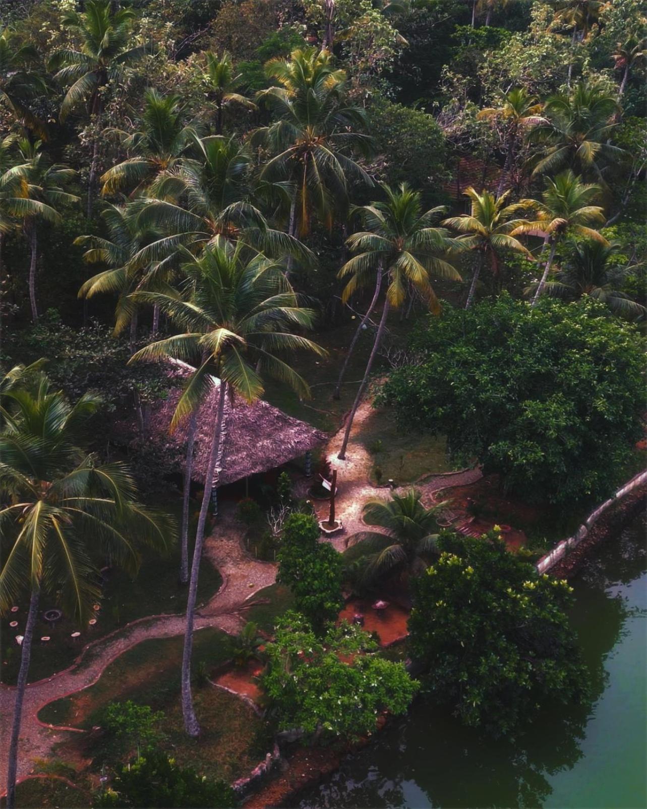 Vishram Village 瓦尔卡拉 外观 照片